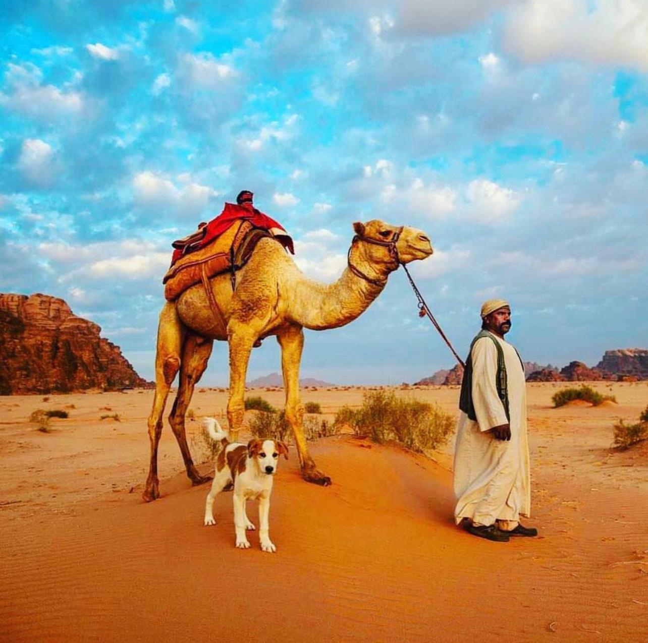 Desert Bedouin Adventure Wadi Rum Exterior photo